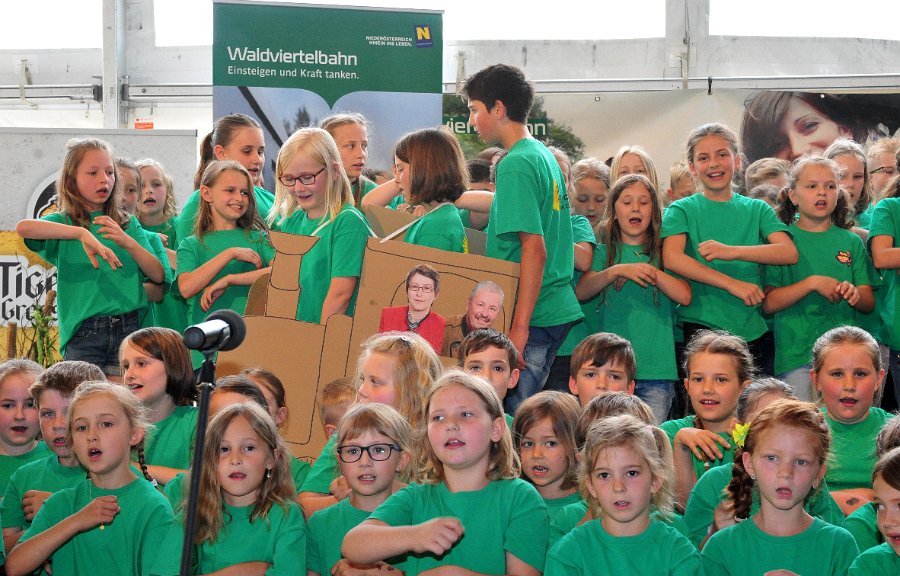 Waldviertelbahn 115 Jahr Feier Groß Gerungs (81)
